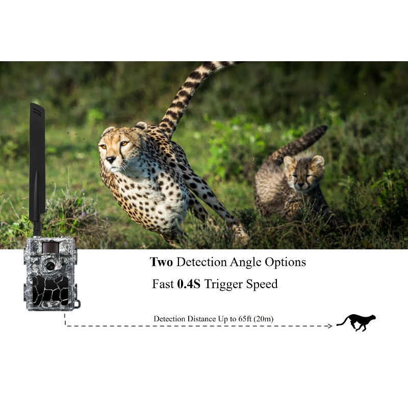 윌파인 셀룰러 4G 태양광 동물 감지 자동 촬영 셀룰러 - Hunting & Outdoor Supplies Vanderbijlpark 리뷰 및 가격