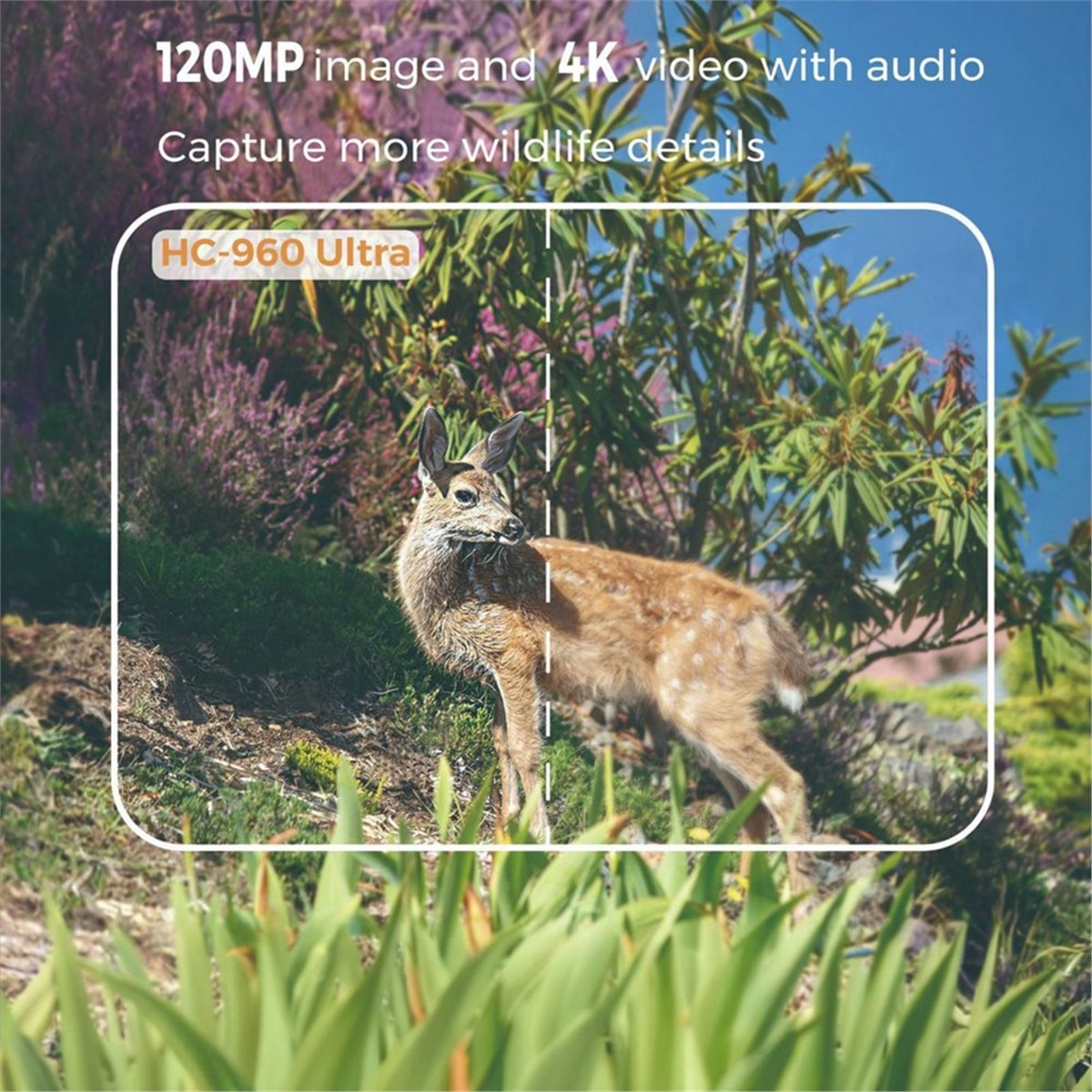 업데이트. 야외용 4G 120MP 4K 라이브 쇼 야생 - Hunting And Outdoor Shows 리뷰 및 가격